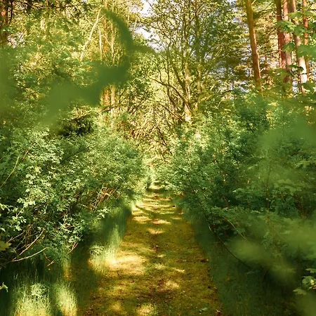 Uki Puhkeküla Camping