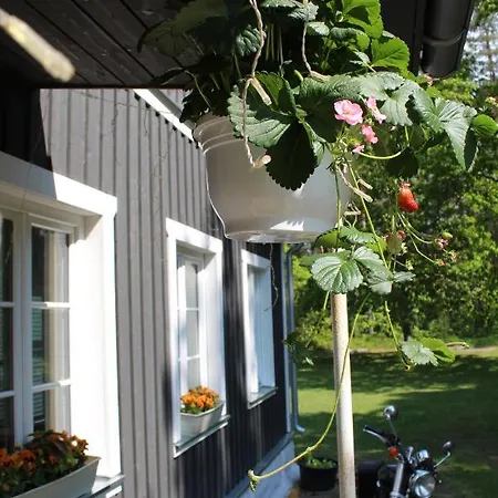 Campsite Uki Puhkekuela Parnu
