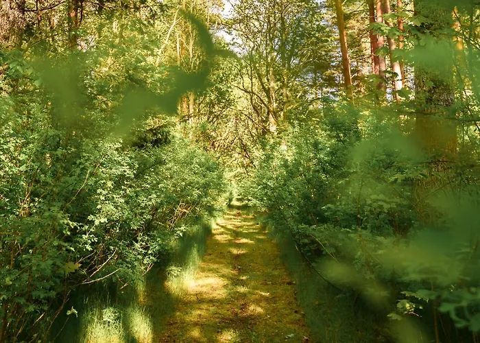 Uki Puhkekuela Parque de Campismo